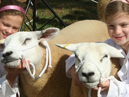 Alresford Agricultural Show 2019