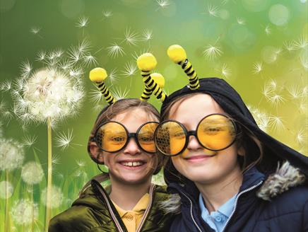 Fiesta - mini outdoor children's festival at Winchester Science Centre & Planetarium