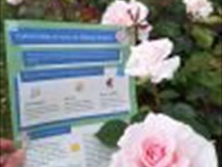 Celebration of Roses at Hinton Ampner