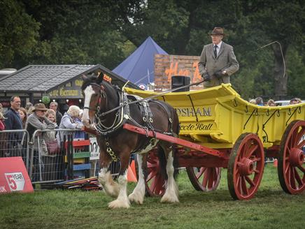 Hampshire Country Fair
