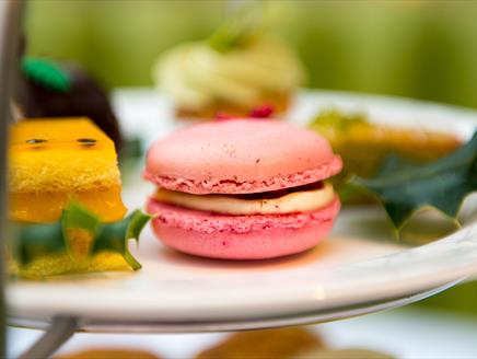 Meet and Treat this Christmas at Chewton Glen Hotel & Spa