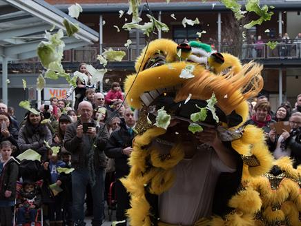 Southampton's Chinese New Year Celebration and Cultural Extravaganza