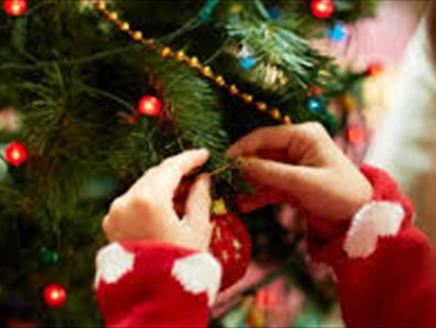 Titchfield's Christmas Tree Festival