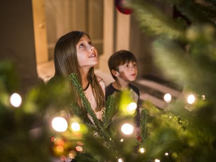 Christmas at Mottisfont National Trust 2022