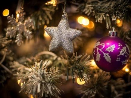 Santa’s Christmas Adventure Trail at Avon Tyrrell