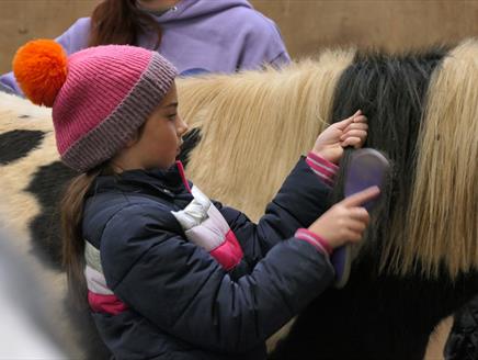 A girl brushing a pony at Elysian