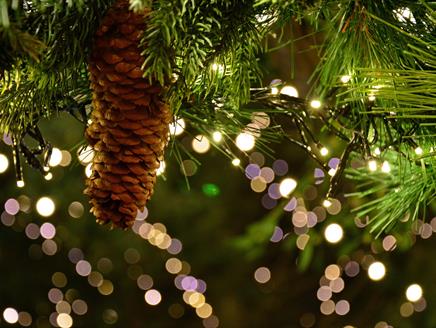 Christmas Shopping Evening at Highfield and Brookham Schools