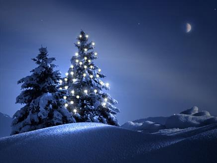Family Festive Trail at Itchen Valley Country Park