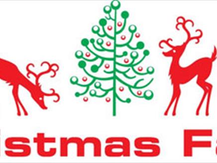Christmas Fayre at Wellington Shopping Centre
