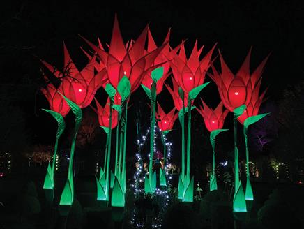The Illuminated Garden at West Green 2021
