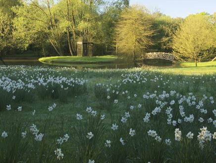 Easter Owl Hunt at West Green House Gardens