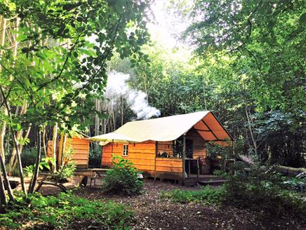 Coppicers Cabin at Adhurst - Off grid glamping