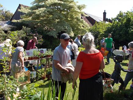 Grand Plant Sale at Curtis Museum and Allen Gallery