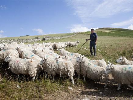 Heritage Walk CUTTING YOUR CLOTH: THE ENGLISH WOOL INDUSTRY