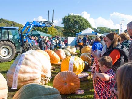 Autumn Pumpkin Festival