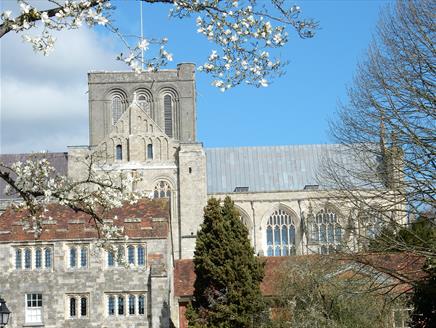 Curious About Winchester: Quirky Heritage Walks for the Curious!
