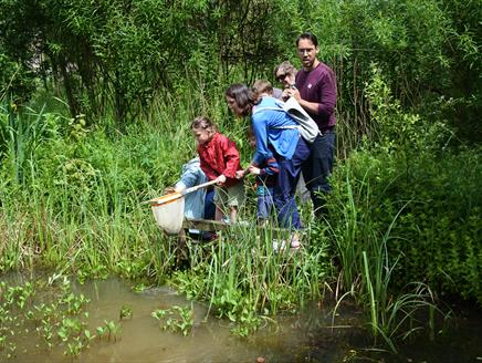 Pond Dipping
