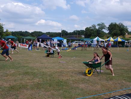 Damerham Fair and Damerham & District Horticultural Society Show at Damerham Sportsfield