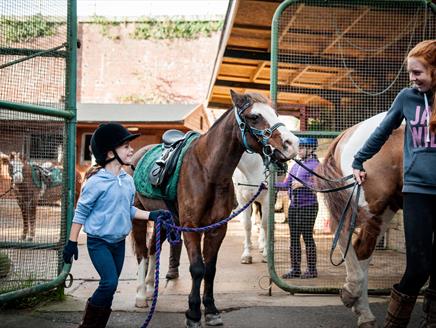 Peter Ashley Activity Centres - Fort Widley, Equestrian Centre