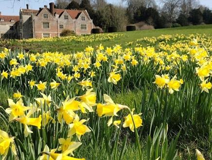 Easter at Chawton House