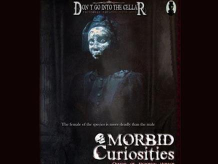 Don't Go Into the Cellar Presents Morbid Curiosities