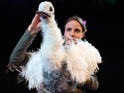 The Goose Who Flew at NST City