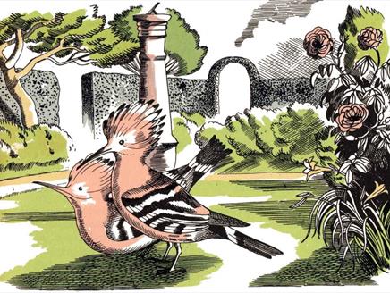 Exhibition: Drawn From Nature: Gilbert White and the Artists at Gilbert White's House & Gardens