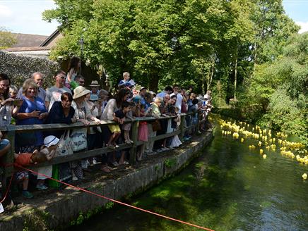 Winchester City Mill's Grand Duck Race