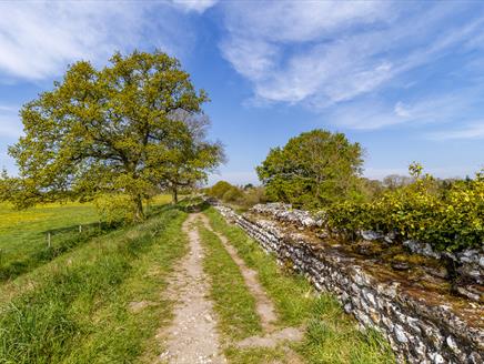 Silchester Roman City Walls credit English Heritage