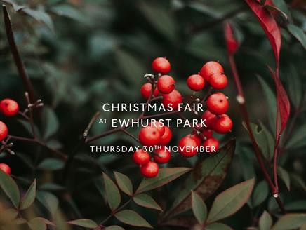 Ewhurst Park Christmas Fair