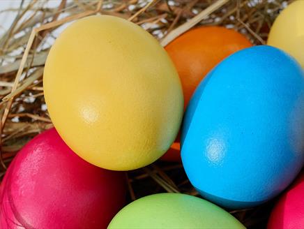 Rowans Easter Egg-stravaganza at Queen Elizabeth Country Park