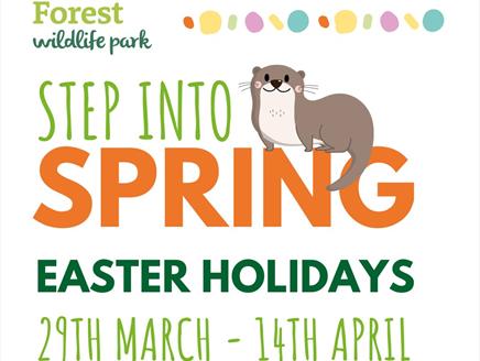 Step into Spring at New Forest Wildlife Park