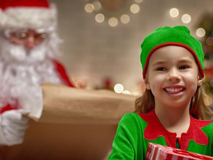 Enchanted Elf Workshops at The Wellington Shopping Centre