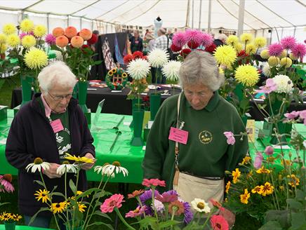 The Emsworth Horticultural Show