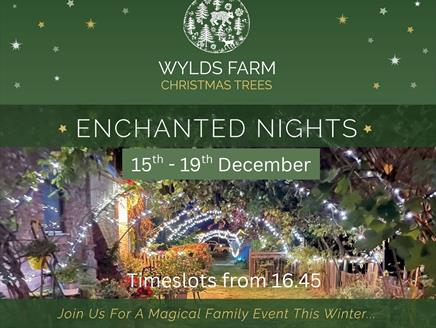 Enchanted Nights at Wylds Farm