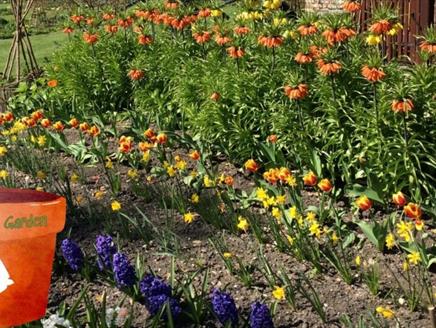 Gilbert's Garden: Blub Planting Day