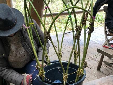 Weave a Willow Plant Support at Gilbert White's House & Gardens