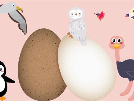 Record-breaking Birds Egg Hunt at Gilbert White's House and Gardens
