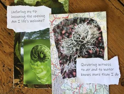 The Poetry of Presence: Haiku and Intuitive Collaging Gilbert White's House & Gardens