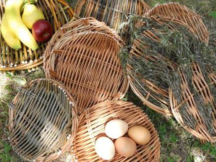 Willow Platter and Bowl Workshop at Gilbert White's House & Gardens