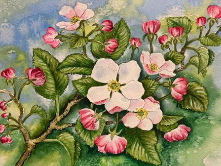 Apple Blossom Time: Watercolour Workshop at Gilbert White's House & Gardens