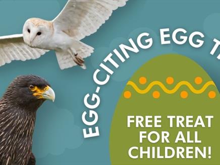 Egg-citing Easter Trail at Hawk Conservancy Trust