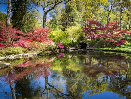 Exbury Gardens in the New Forest