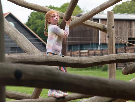 Free Face Painting on Mondays in August at Sky Park Farm