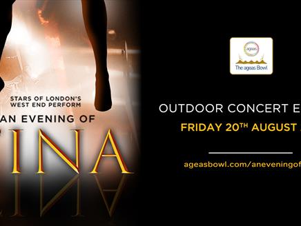 An Evening Of Tina Poster