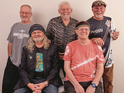 Five musicians sing and play their instruments, including fiddles and guitars.