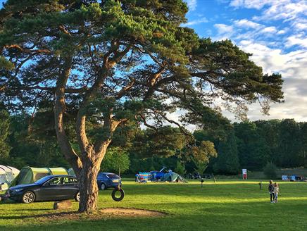 YMCA Fairthorne Manor Campsite