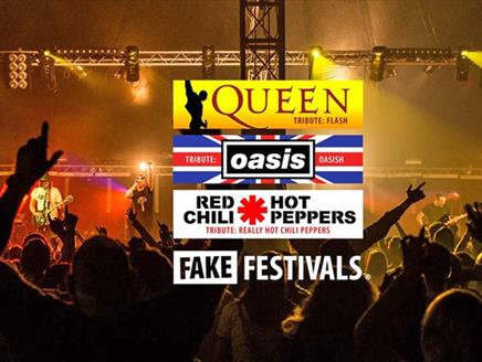 Mayflower Park Fake Festival