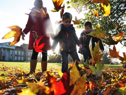 Autumn Colour at The Vyne