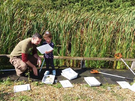 Pond Dipping at Lakeside Country Park